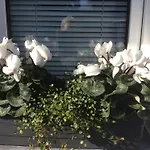 Messewohnung Düsseldorf-Nord